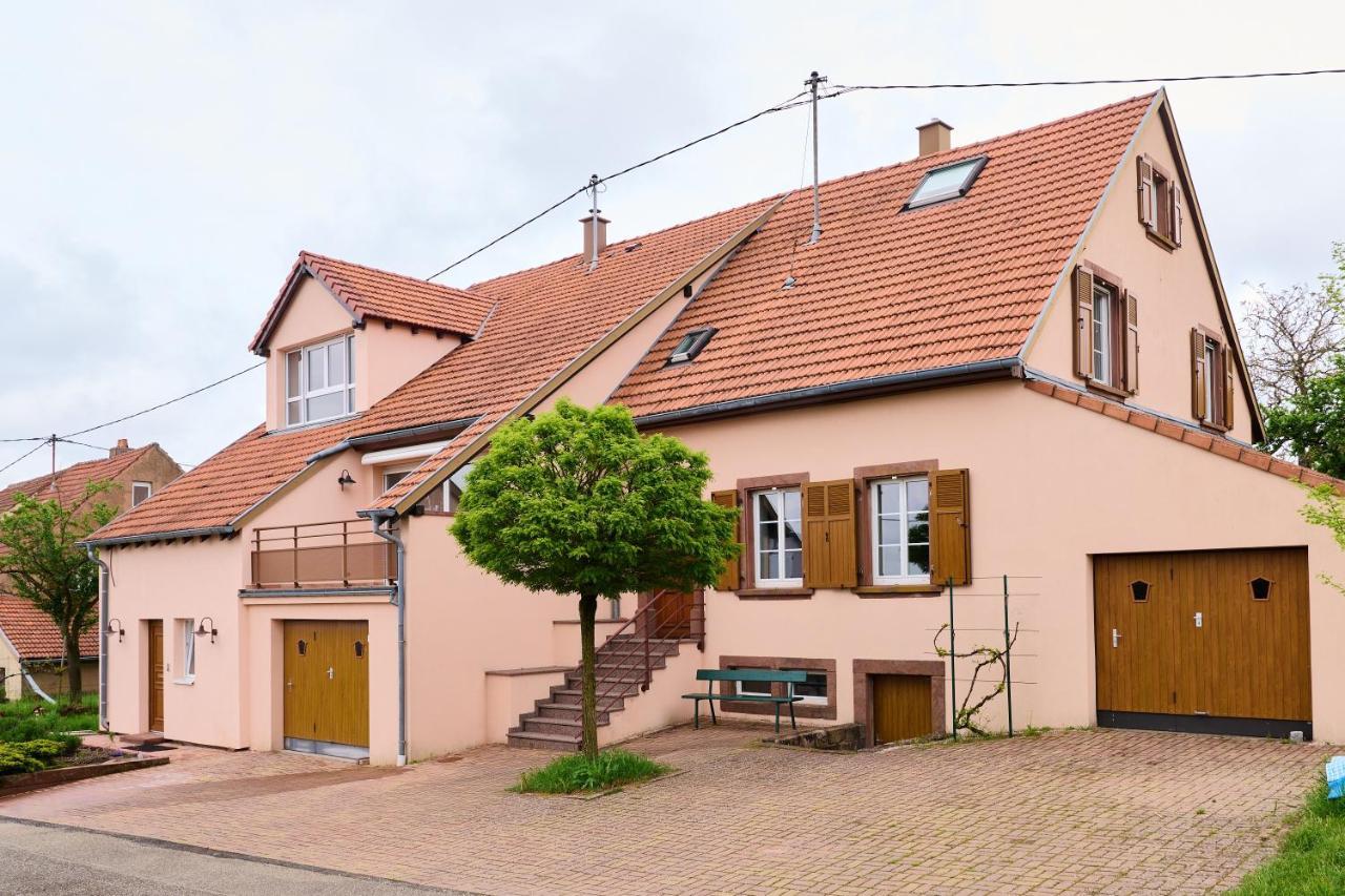 Le Pommier - Appt Avec Jardin Partage Puberg Exterior foto